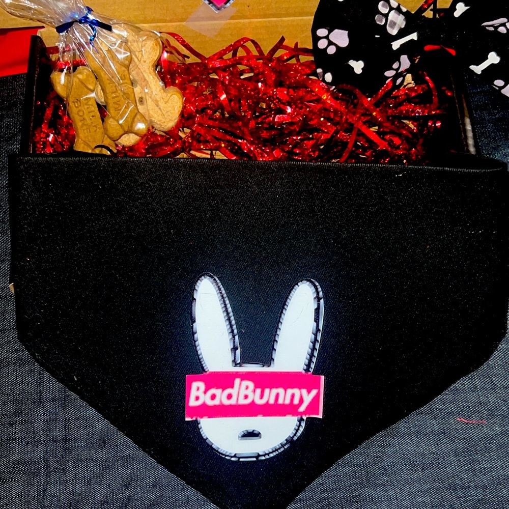 Bad bunny wear